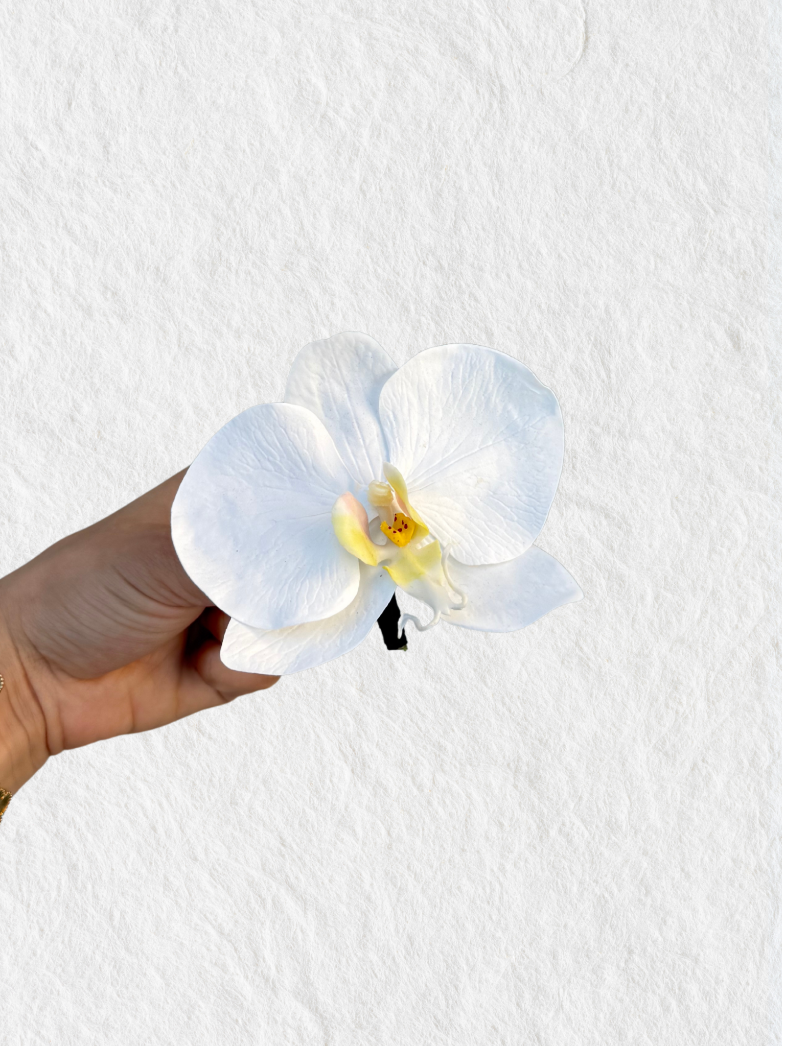 Men's Buttonhole - Single Orchid