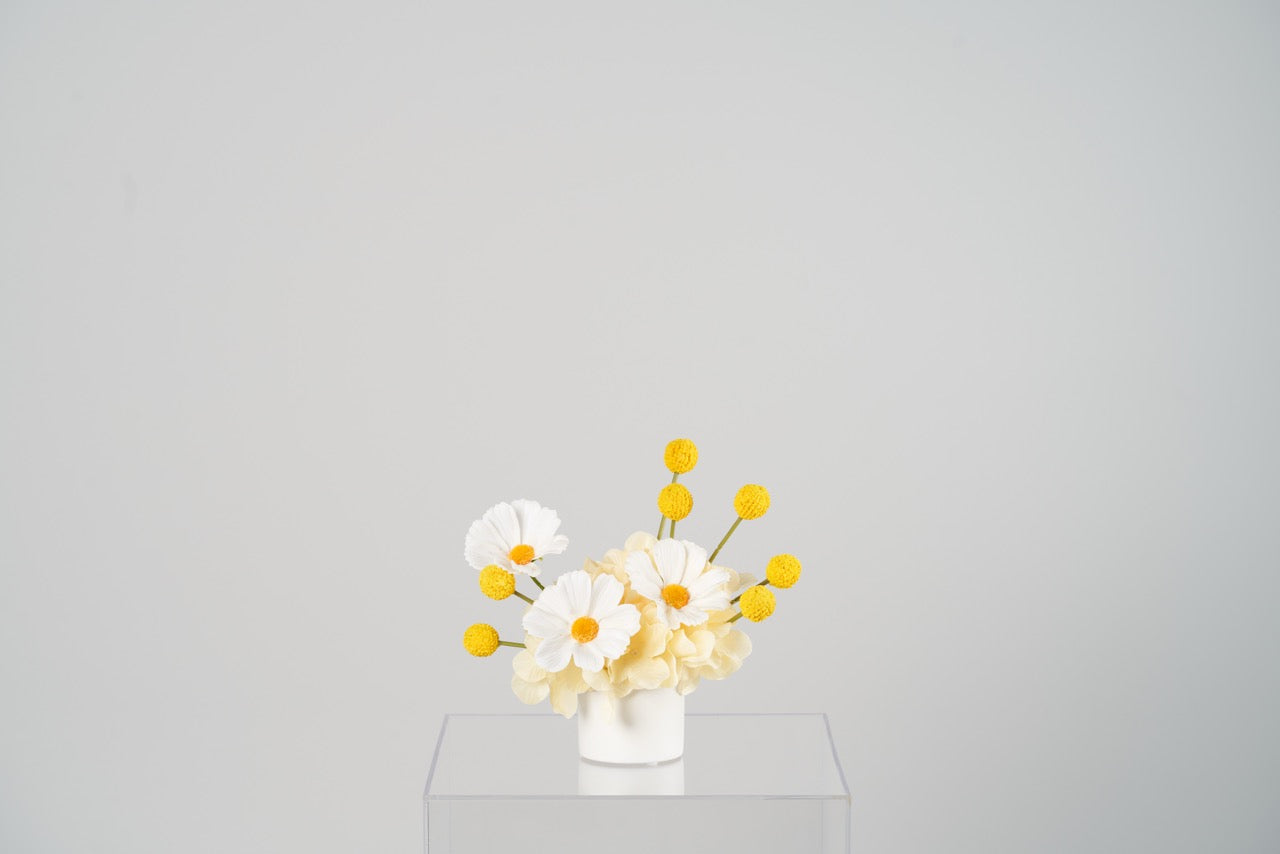 Daisy Mini Floral Arrangement