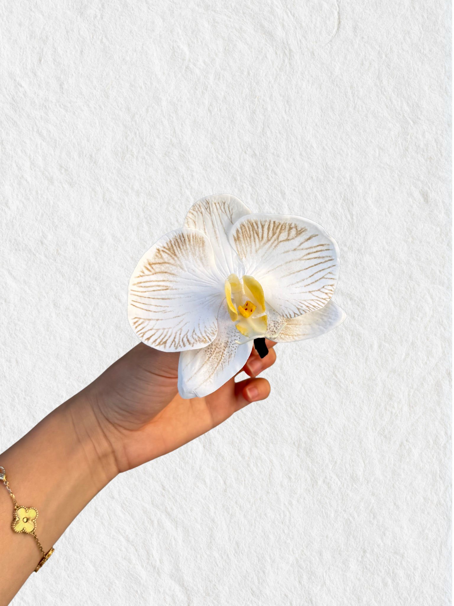 Men's Buttonhole - Single Orchid