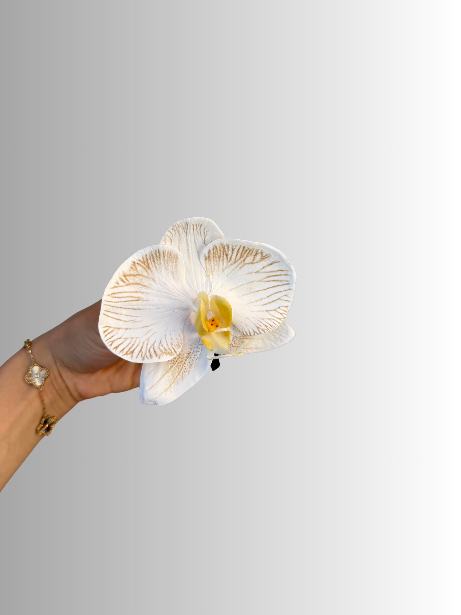 Men's Buttonhole - Single Orchid