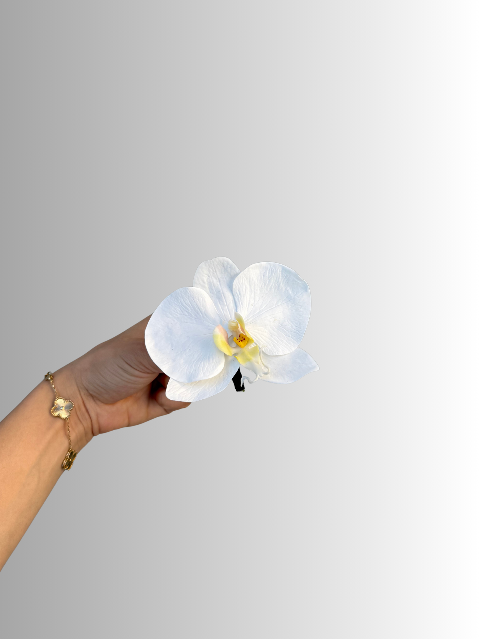 Men's Buttonhole - Single Orchid